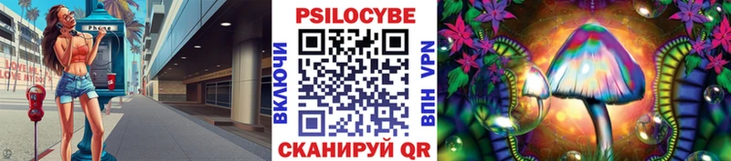 Псилоцибиновые грибы Psilocybe  Отрадный 